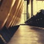 Lorem ipsum dolor sit ame